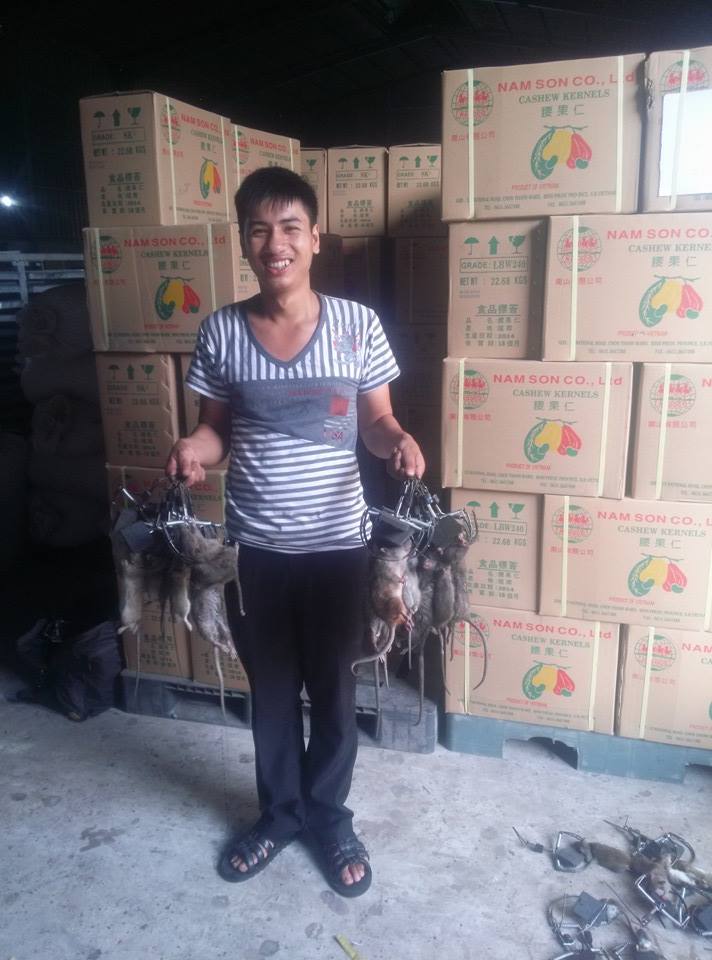 Dịch vụ diệt chuột - Diệt Côn Trùng Quang Minh - Công Ty TNHH Thương Mại Công Nghiệp Quang Minh